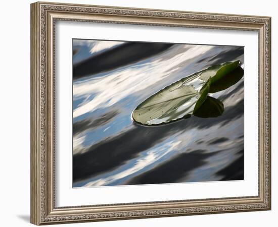 The Pad-Ursula Abresch-Framed Photographic Print