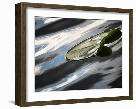 The Pad-Ursula Abresch-Framed Photographic Print