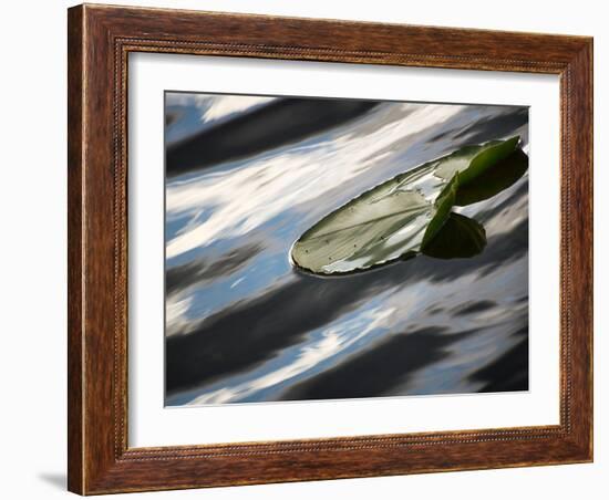 The Pad-Ursula Abresch-Framed Photographic Print