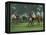 The Paddock, Windsor Races-Jennifer Wright-Framed Premier Image Canvas