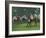 The Paddock, Windsor Races-Jennifer Wright-Framed Giclee Print