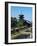 The Pagoda of the Five Orders in the Gardens of Toji Temple, Kyoto, Kansai, Japan, 9th Century-null-Framed Giclee Print