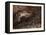 The Palace of Sleep-Gustave Dore-Framed Premier Image Canvas