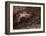 The Palace of Sleep-Gustave Dore-Framed Premier Image Canvas