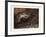 The Palace of Sleep-Gustave Dore-Framed Giclee Print