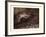 The Palace of Sleep-Gustave Dore-Framed Giclee Print