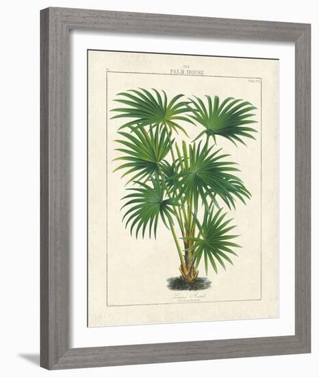 The Palm House II-The Vintage Collection-Framed Giclee Print