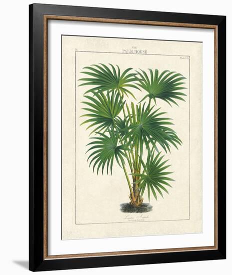 The Palm House II-The Vintage Collection-Framed Giclee Print