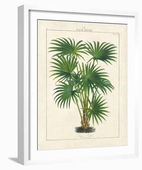 The Palm House II-The Vintage Collection-Framed Giclee Print