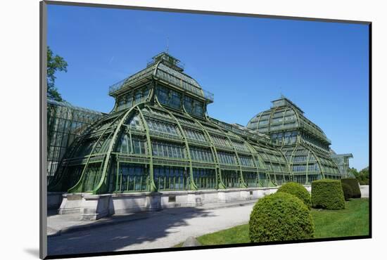 The Palm House in the Schonbrunn Gardens, Vienna, Austria-Carlo Morucchio-Mounted Photographic Print