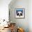 The Panda Bear-Lucia Stewart-Framed Art Print displayed on a wall