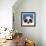 The Panda Bear-Lucia Stewart-Framed Art Print displayed on a wall