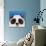 The Panda Bear-Lucia Stewart-Giclee Print displayed on a wall