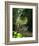 The Parc Monceau-Claude Monet-Framed Giclee Print