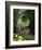 The Parc Monceau-Claude Monet-Framed Giclee Print