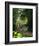 The Parc Monceau-Claude Monet-Framed Giclee Print