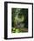 The Parc Monceau-Claude Monet-Framed Giclee Print