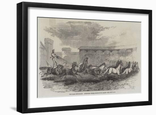 The Paris Hippodrome, Seventeen Horses Driven by M Martin-Harrison William Weir-Framed Giclee Print