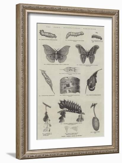 The Paris International Exhibition-null-Framed Giclee Print