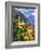 The Parish Church in the Village of Limone on Lake Garda, Italy-Richard Duval-Framed Photographic Print