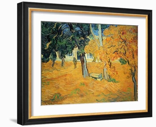 The Park at St. Paul's Hospital, St. Remy, 1889-Vincent van Gogh-Framed Giclee Print