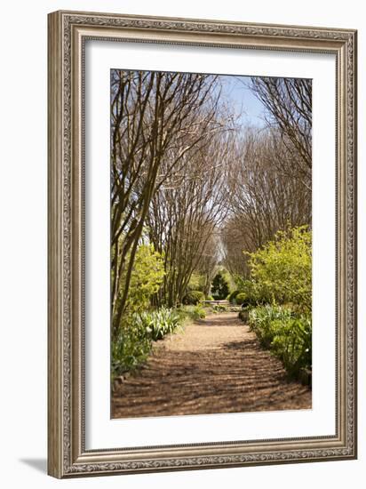 The Park in Autumn-Karyn Millet-Framed Photographic Print