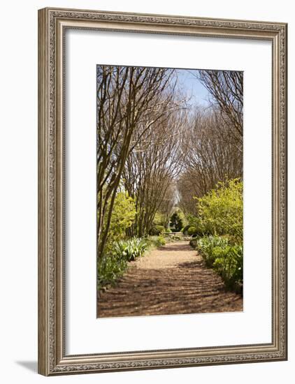 The Park in Autumn-Karyn Millet-Framed Photographic Print