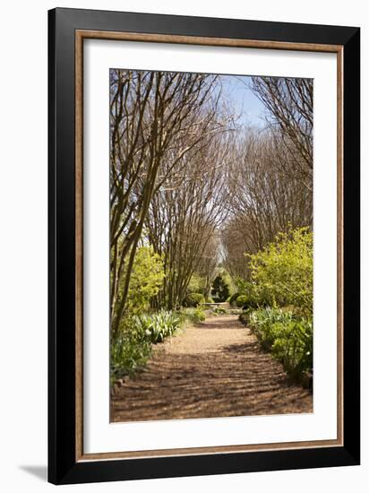 The Park in Autumn-Karyn Millet-Framed Photographic Print