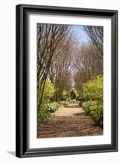 The Park in Autumn-Karyn Millet-Framed Photographic Print