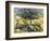 The Park of the Asylum-Vincent van Gogh-Framed Giclee Print