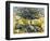 The Park of the Asylum-Vincent van Gogh-Framed Giclee Print