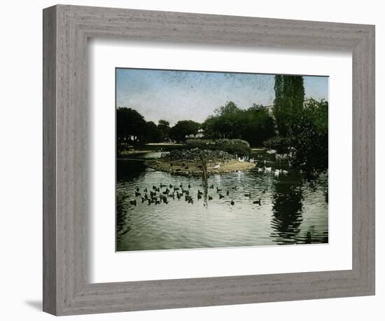 The Park of the Jardin D'Acclimatation, Paris (XVIth Arrondissement), Circa 1890-1895-Leon, Levy et Fils-Framed Photographic Print