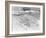 The Park-Tim Kahane-Framed Photographic Print