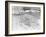 The Park-Tim Kahane-Framed Photographic Print