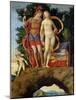 The Parnassus, Detail of Venus and Mars-Andrea Mantegna-Mounted Giclee Print
