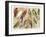 The Parrot Family-null-Framed Art Print