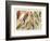 The Parrot Family-null-Framed Premium Giclee Print