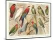 Premium Giclee Print