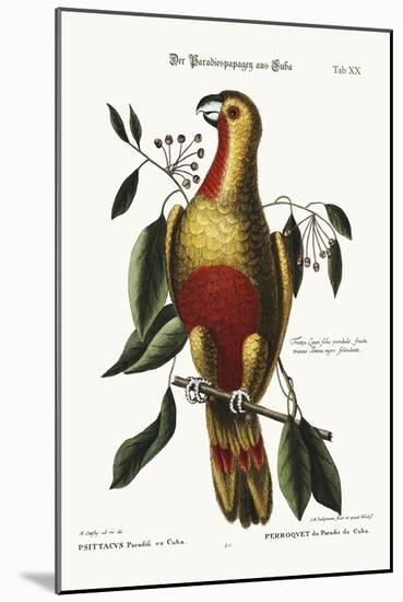 The Parrot of Paradise of Cuba, 1749-73-Mark Catesby-Mounted Giclee Print