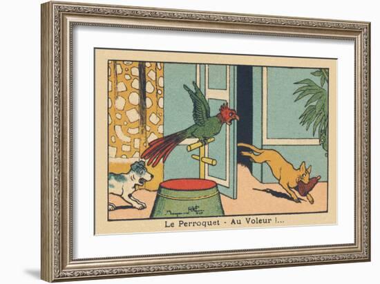 The Parrot Screams When He Sees the Cat that Has Just Stolen a Leg.” the Parroquet — to the Thief!.-Benjamin Rabier-Framed Giclee Print