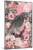 The Parrots Paradise Garden 3 Pastel Pink-Andrea Haase-Mounted Giclee Print