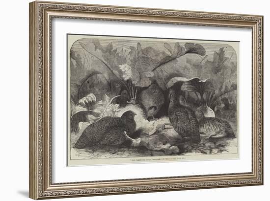 The Partridge Covey-null-Framed Giclee Print