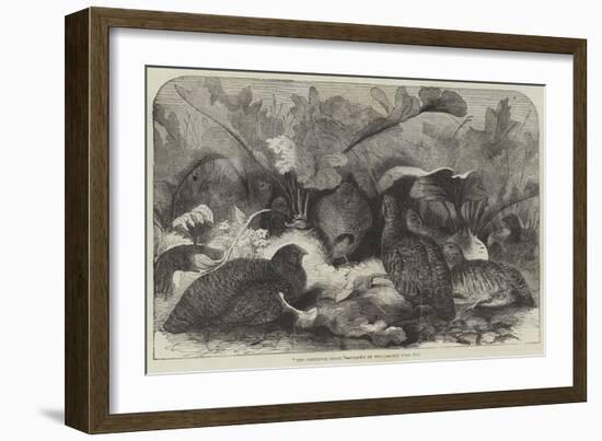 The Partridge Covey-null-Framed Giclee Print