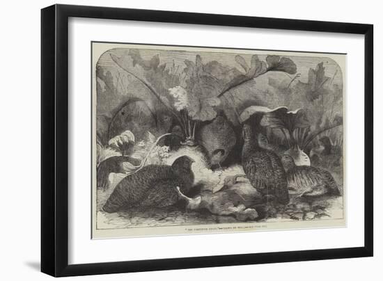 The Partridge Covey-null-Framed Giclee Print