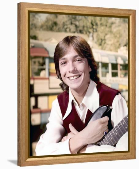 The Partridge Family-null-Framed Stretched Canvas