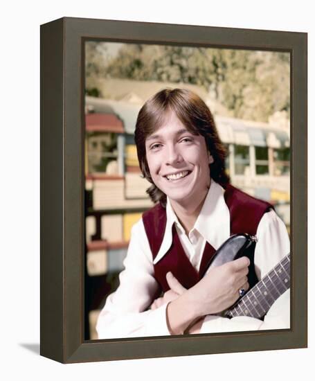 The Partridge Family-null-Framed Stretched Canvas