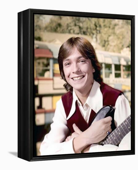 The Partridge Family-null-Framed Stretched Canvas