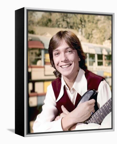 The Partridge Family-null-Framed Stretched Canvas