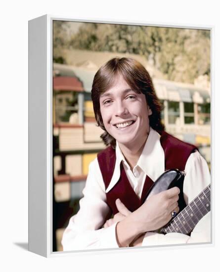 The Partridge Family-null-Framed Stretched Canvas