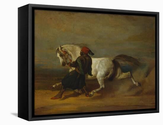 The Pasha's Pride-Alfred De Dreux-Framed Premier Image Canvas